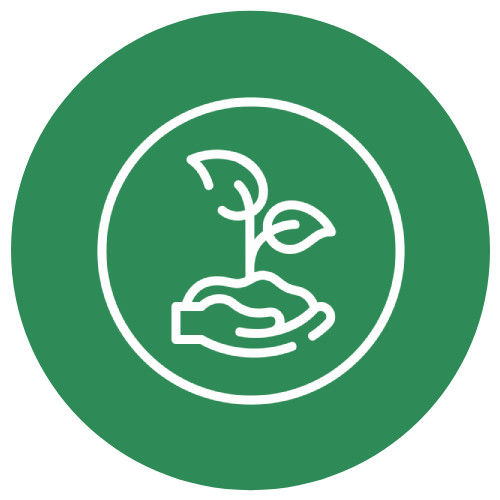 Agriculture & Allied areas